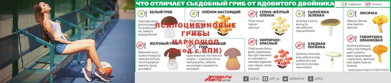 hydra рабочий сайт  Тайга  Псилоцибиновые грибы Psilocybine cubensis  купить наркотик 